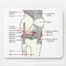 Recherche de humain anatomie tapis souris Anatomique