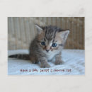 Recherche de secouru cartes postales Chaton