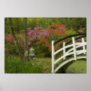 Recherche de magnolia posters Flora