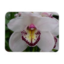 Recherche de orchidée magnets Nature