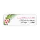 Recherche de ketmie rose Tropical