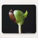 Recherche de apple tapis souris Nature