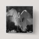 Recherche de beaux arts badges Blanc