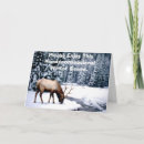 Recherche de enjoy cartes postales Non confessionnel