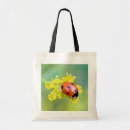 Recherche de pollen sacs Jaune