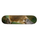 Recherche de velu skateboards Animal