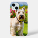 Recherche de scotish iphone coques Terrier