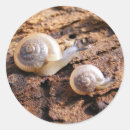 Recherche de escargot français autocollants Escargots
