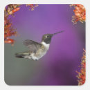 Recherche de mcdonald autocollants Mary ann mcdonald