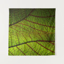 Recherche de macro feuille Texture