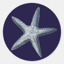 Recherche de shell autocollants Littoral