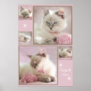Recherche de lynx posters Mignon
