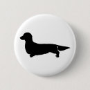 Recherche de teckel badges Chien de weiner