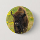 Recherche de bison badges Animal