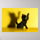Recherche de chaton noir posters Animal de compagnie