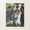 Recherche de donkey puzzles Farm animals