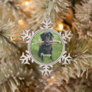 Recherche de black lab ornements Labo noir