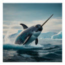 Recherche de narwhal posters Narval