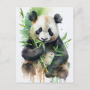 Recherche de panda noir et blanc cartes postales Bambou