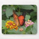 Recherche de ailes papillon tapis souris Vert