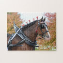Recherche de cheval de clydesdale puzzles Chevaux