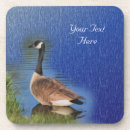 Recherche de nature dessous de verres Faune