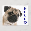 Recherche de salutation de chien Chiot