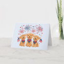 Recherche de chien blanc vœux cartes Drapeau américain
