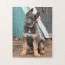 Recherche de chien de berger allemand puzzles Gsd