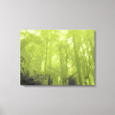 Recherche de triptyque posters Forêt