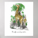 Recherche de girafe vintage posters Animaux