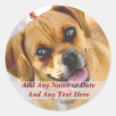 Recherche de textes autocollants Image
