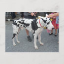 Recherche de dannée cartes postales Canine