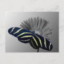 Recherche de marguerite rouge cartes postales Nature
