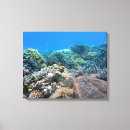 Recherche de tortue art Toile