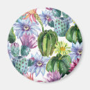 Recherche de motif exotique magnets Désert