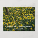 Recherche de fleurs jaunes cartes postales Blanc