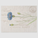 Recherche de blue cornflower cartes postales Fleur