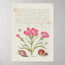Recherche de vintage botanical posters Floral