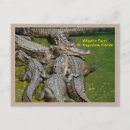 Recherche de faiseurs cartes postales Pour tous