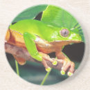 Recherche de singe dessous de verres Faune