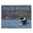 Recherche de orque calendriers Pacifique