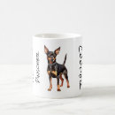 Recherche de pinscher tasses Animaux domestiques