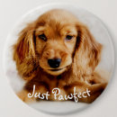 Recherche de cocker badges Mignon