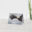 Recherche de aigle vœux cartes Drôle