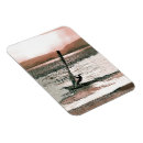 Recherche de voile magnets Sports