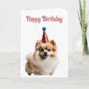 Recherche de pomeranian vœux cartes Animal