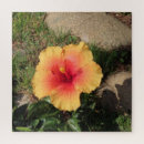 Recherche de exotique puzzles Pour elle