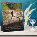 Recherche de tomber plaques Pour tous