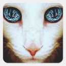 Recherche de visage de chat autocollants Yeux